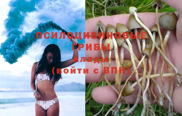 прущий лед Касимов