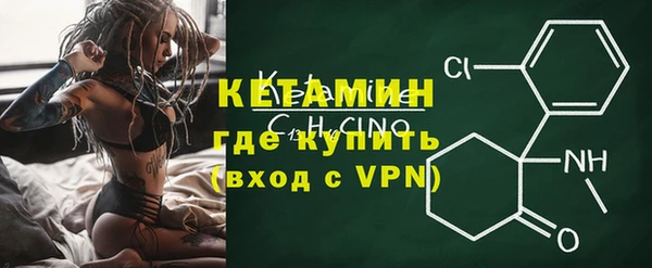 шишки Карпинск