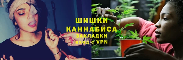 прущий лед Касимов
