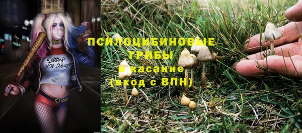 прущий лед Касимов
