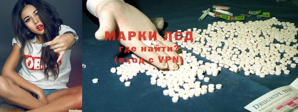 шишки Карпинск