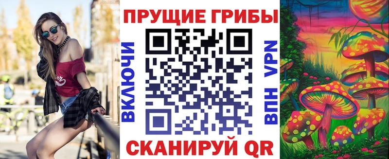 Купить закладки  Надым  Псилоцибиновые грибы ЛСД 